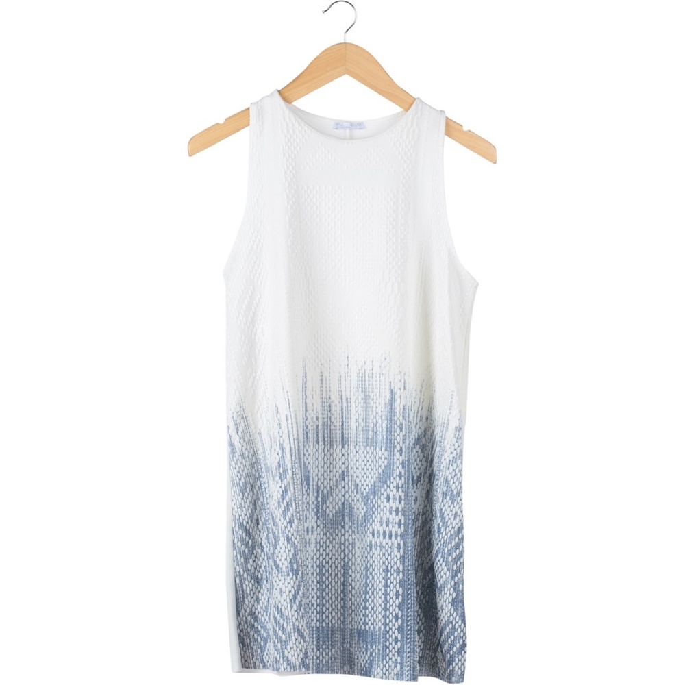 Blue and White Zara Tunic Dress